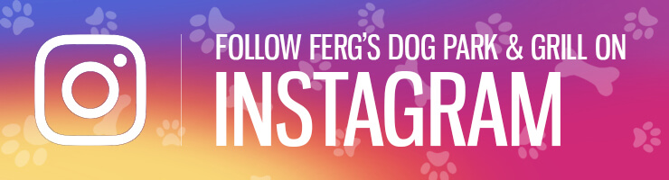 Follow Ferg's Dog Park & Grill on Instagram